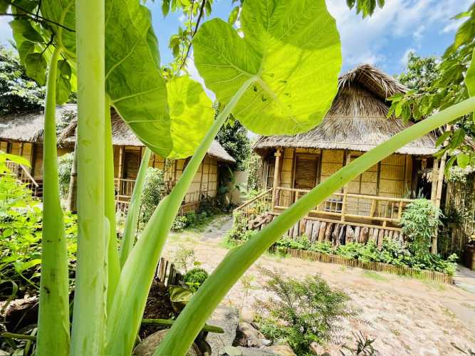 An Nhien Hotel Apartment- Greenhome XM, BR-VT