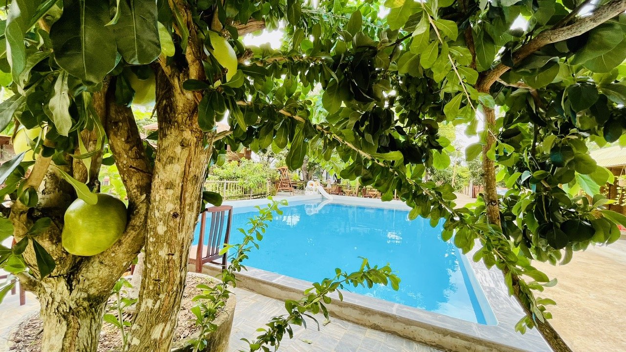 GREENHOME XM – THE PERFECT STOP NEAR HỒ TRÀM, HỒ CỐC